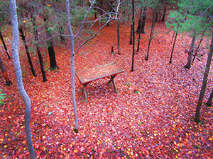 Embers on Keuka by Alek Leeper