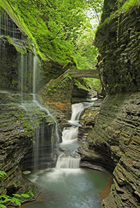 Rainbow Falls by Carl Crumley