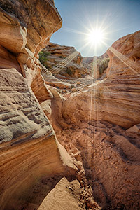 White Dome Slot Canyon by Anthony Ryan
