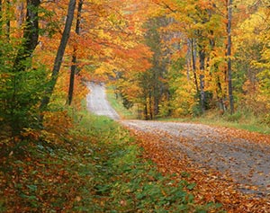 Autumn in Vermont by Gary Thompson