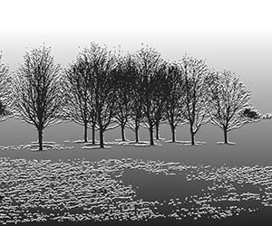 Trees #1 by Dan Neuberger