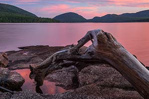 Puddle Reflection by Scott Hemenway