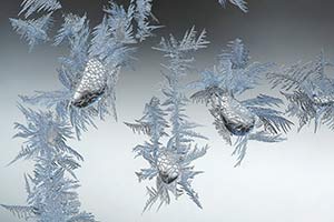 Ice Drops by Angela Possemato