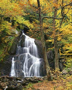 Autumn at Moss Glenn Falls by Gary Thompson