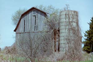 Old Barn by Gianni Gugino