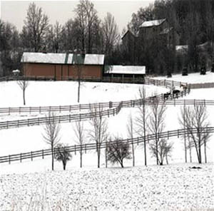 Barn and Fences by Dan Neuberger