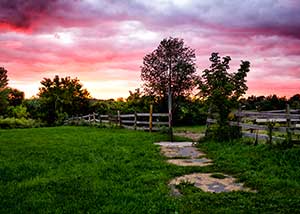 Path to Pasture by Robert Welch