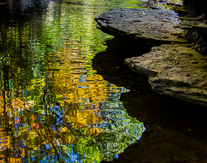 Fall Reflections by Paul Shew