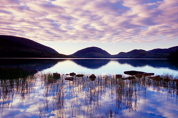 Mackerel Sky by Gary Thompson