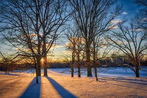 Genesee Valley Shadows by Mary Shelsby