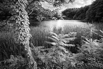 Eastman Lake Sunrise by Tom Kredo