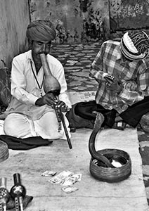 Jaipur Snake Charmer by Joel Krenis