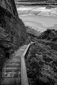 Steps by Tom Kredo