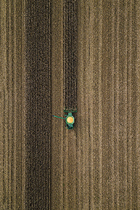 Harvest by Nikhil Nagane