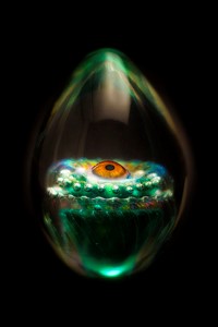 Glass Eye by Tom Kredo