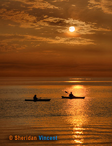 Solstice Kayakers by Sheridan Vincent