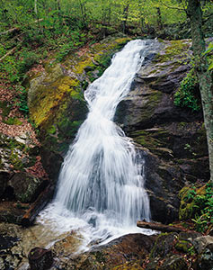 Crab Tree Falls by Gary Thompson