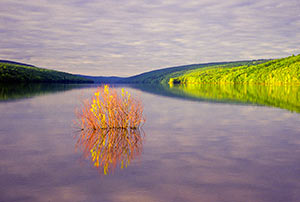 Spring at Hemlock Lake by Gary Thompson