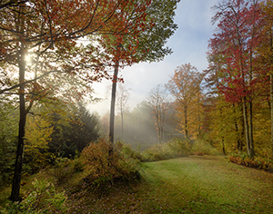 Vermont Fall Sunbeams by Patty Singer