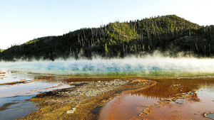 The Prismatic Spring by Carol V. Fee