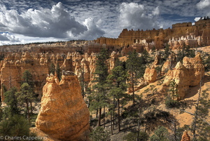 Queens Garden Trail by Charles Cappallino