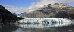 Glacier Bay National Park by Cheri Riley