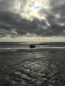 Nauset Beach by Vicki Souve