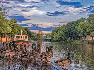 Erie Canal by Devin Mack