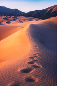 Walking the Dunes by Nikhil Nagane
