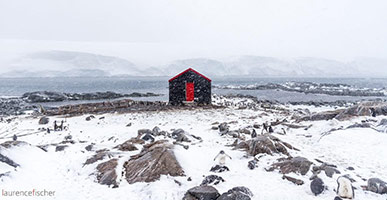 Port Lockroy, Antarctica by Laurence Fischer