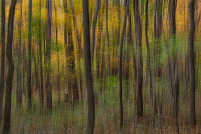 Shadows and Light by Lee Ingraham