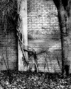 Brick Wall #2 by Dennis Adams