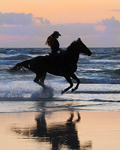 Morning Run by Dick Beery