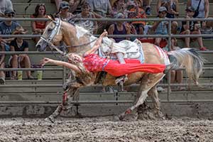 Cowgirl Rider by Tom Kredo