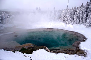 Emerald Spring Blue by Archie Curry