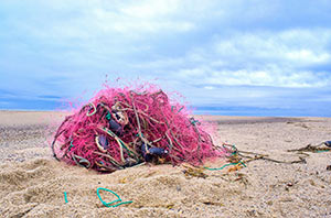 Pretty in Pink by Michael Shoemaker