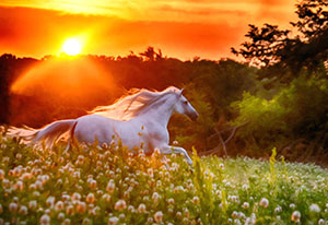 Andalusian-Sunrise by Emily Stauring