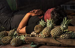 Still Life at a Javanese Market by David Kotok