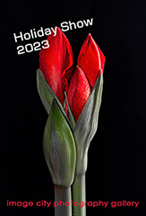 Holiday Show 2023