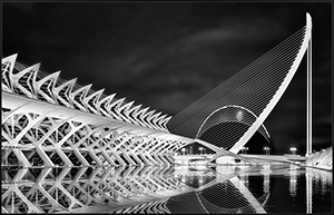 Palais-des-Arts-and-Sciences-Valencia by David Braitsch