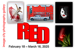 Red 25 Postcard