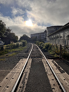 Railroad to the Light by Renee Zambuto