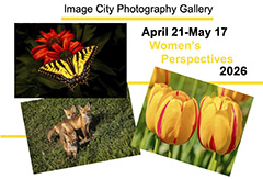 Women's Perspectives 2026