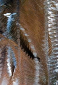 Burnished Metal by Steve Levinson