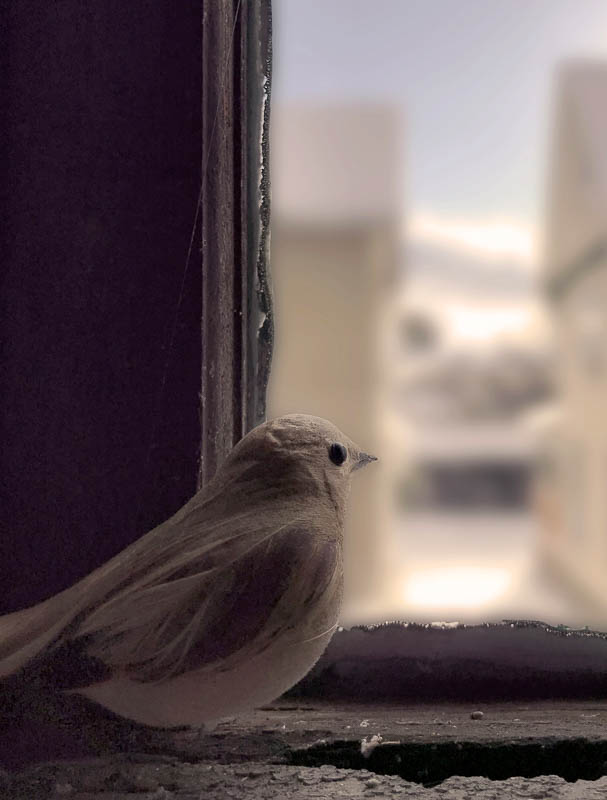 SGH-3 - School of the Arts