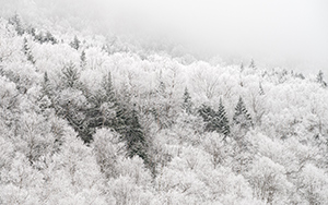 Winter's Touch by John Stuhlman