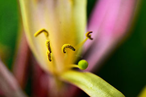 3 by d dargan tesia
