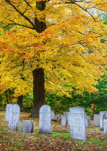 Hopkins-Jane-Family-at-Rest,-Moosehead-Lake,-Maine